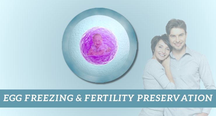 Egg Freezing / Fertility Preservation