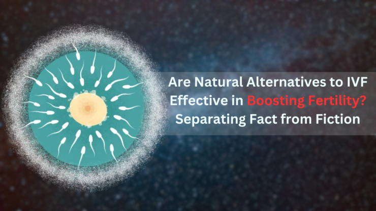 Are Natural Alternatives to IVF Effective in Boosting Fertility? Separating Fact from Fiction